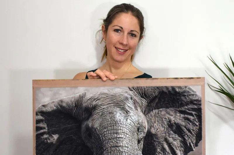 Cornwall Woman Up For Wildlife Artist Of The Year